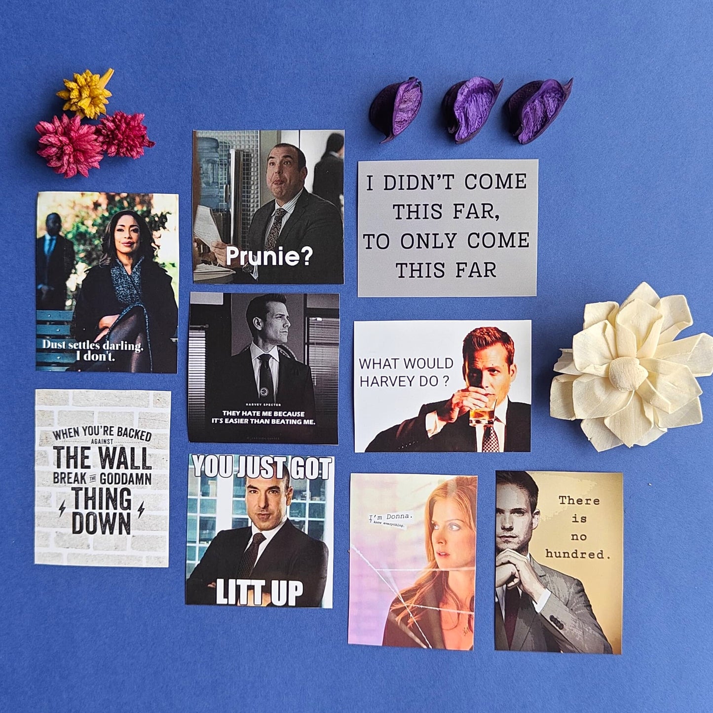 Suites - Sticker pack